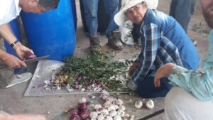 WhatsApp Image 2020-02-03 at 11.14.51 (1)