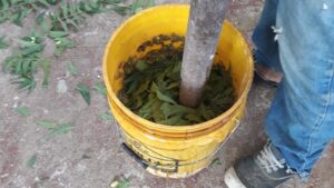 WhatsApp Image 2020-02-03 at 11.14.51 (2)