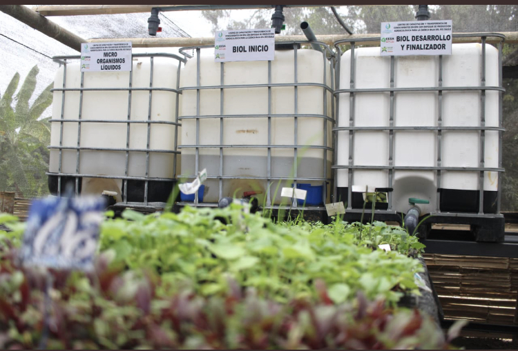 Inauguración de la Primera Finca Demostrativa de Buenas Prácticas Agrícolas (BPA)