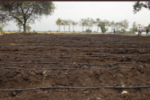 Inauguración de la Primera Finca Demostrativa de Buenas Prácticas Agrícolas (BPA)
