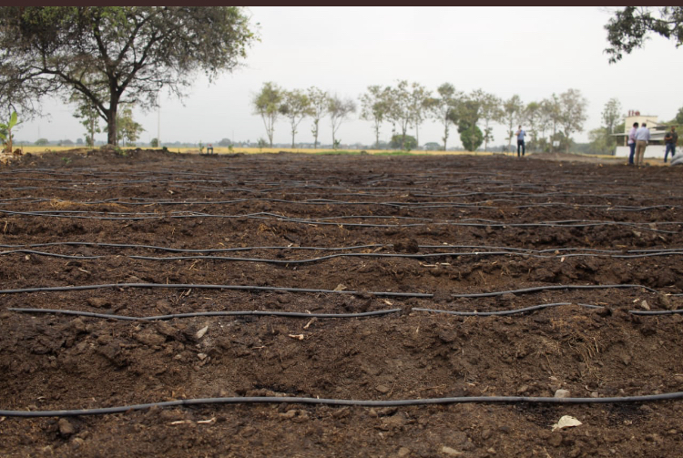 Inauguración de la Primera Finca Demostrativa de Buenas Prácticas Agrícolas (BPA)