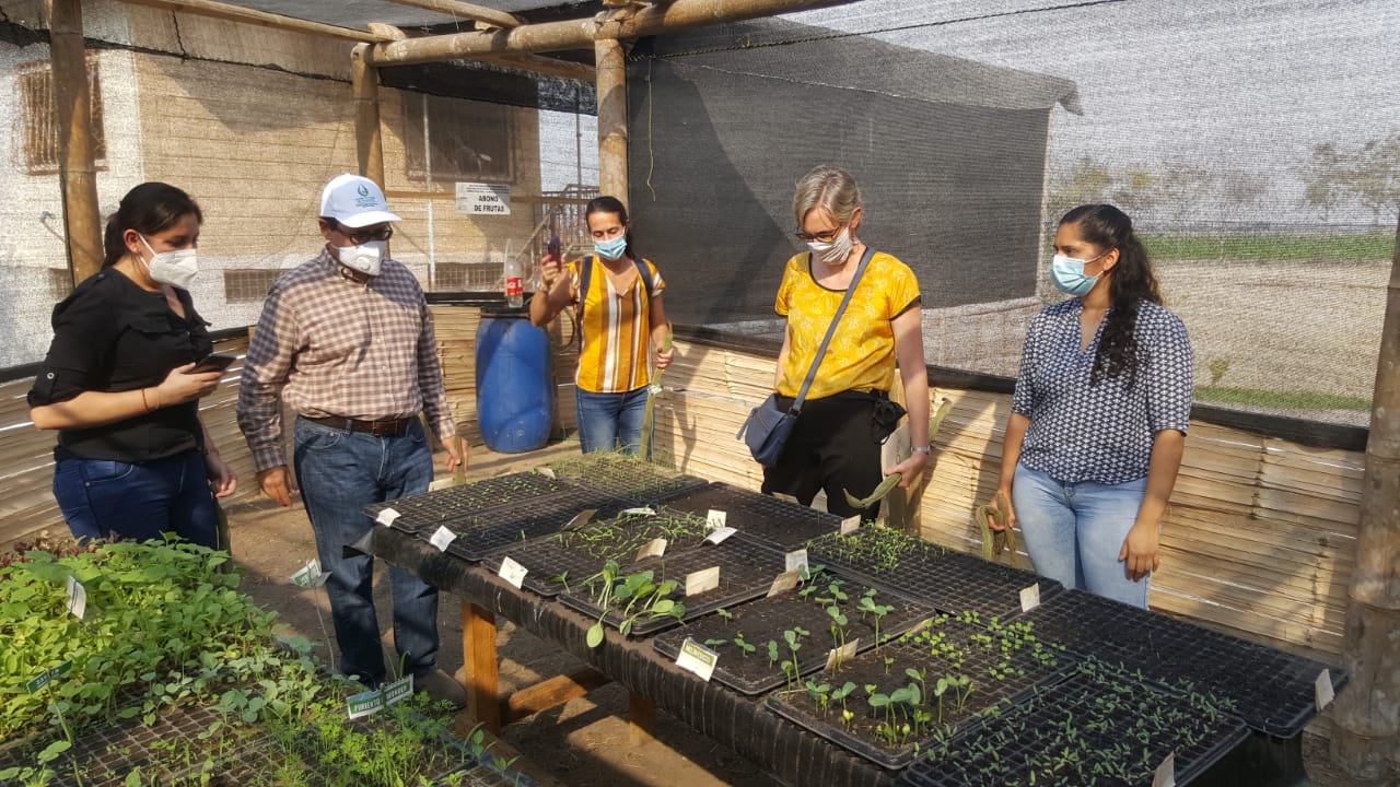 Visita de misión AFD a la Finca Demostrativa